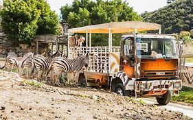 Hotel Selwo Lodge - Animal Park Tickets Included